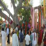 Vraj-Yatra-2014- (1697)